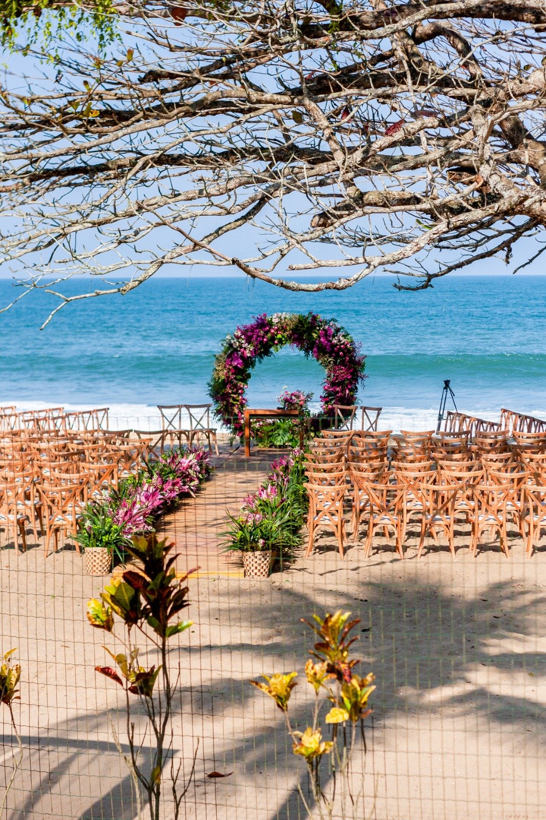 Cerimônia do Hou Beach Club na areia, com corredor entre cadeiras, arco floral, mar azul e galhos da árvore sobre o espaço